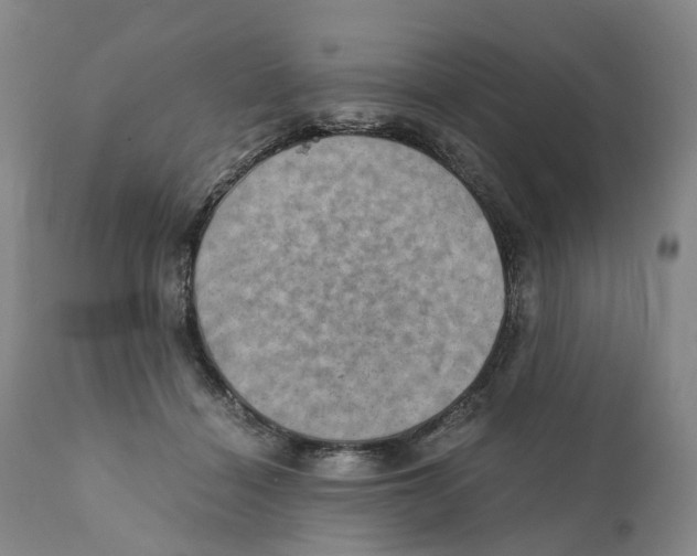 X0000110890460200907161530