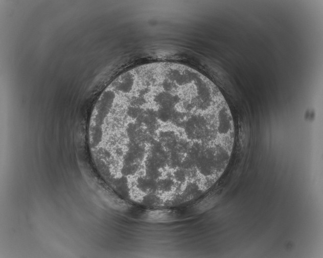 X0000110890461200907161530