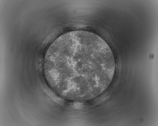 X0000110890462200907161530