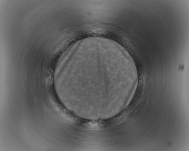 X0000110890464200907161530