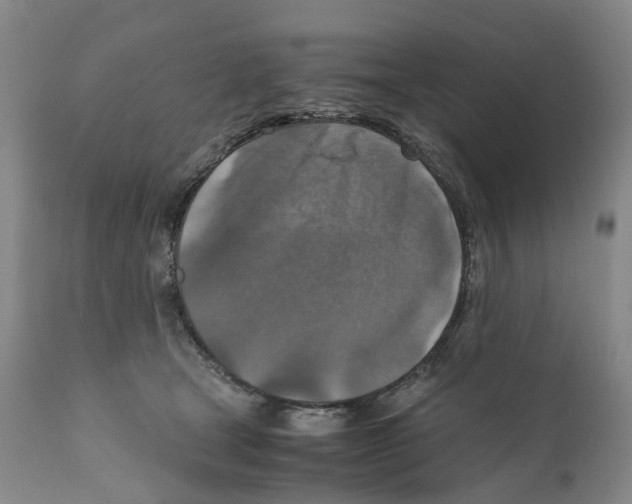 X0000110890465200907161530
