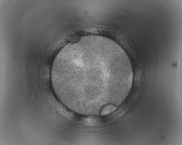 X0000110890466200907161530