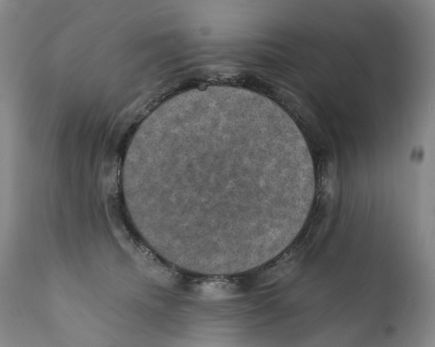 X0000110890468200907161530