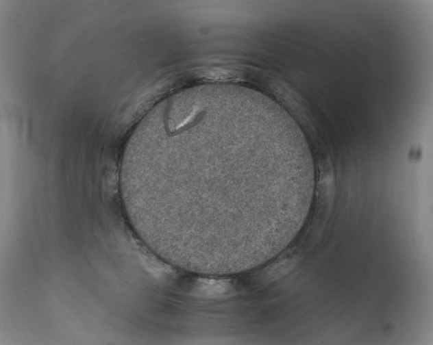 X0000110890469200907161530