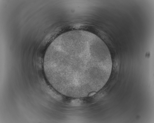X0000110890470200907161530
