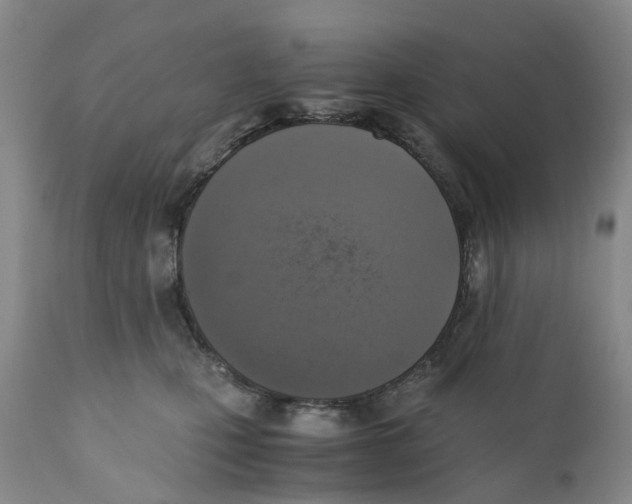 X0000110890471200907161530