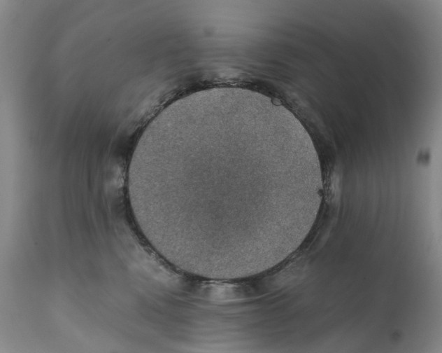 X0000110890472200907161530