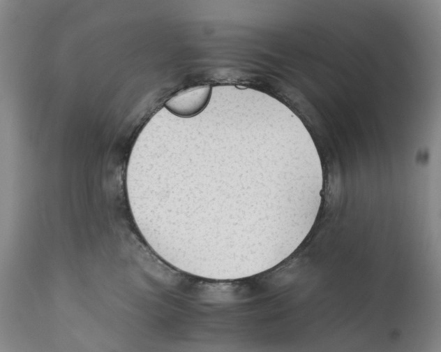 X0000110890473200907161530