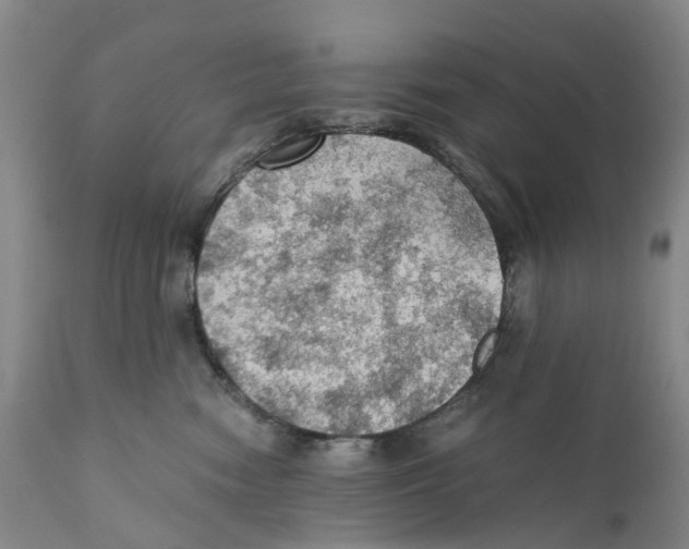 X0000110890474200907161530