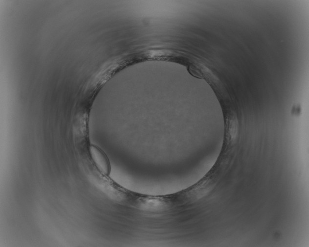 X0000110890475200907161530