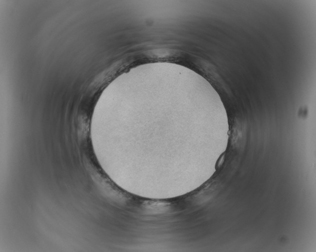 X0000110890476200907161530
