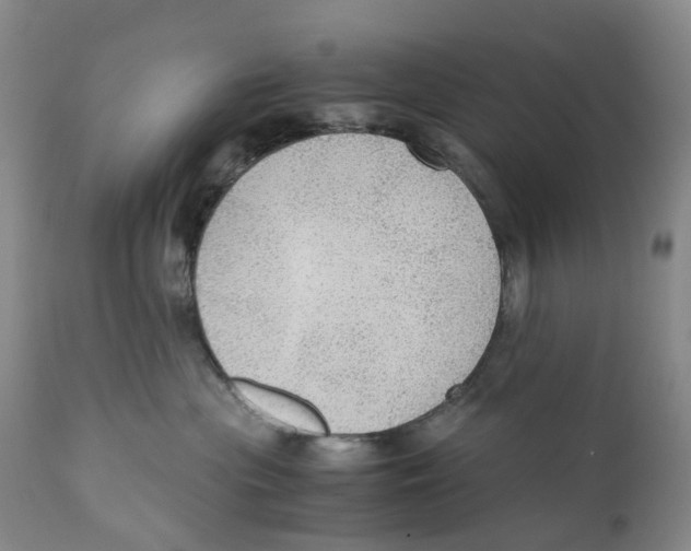 X0000110890477200907161530
