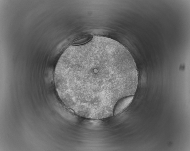 X0000110890478200907161530