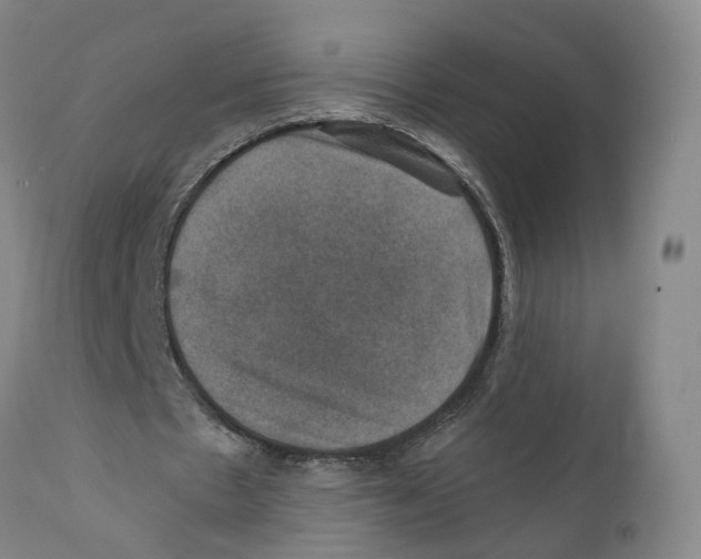 X0000110890481200907161529