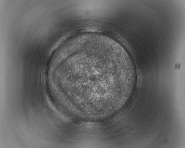 X0000110890482200907161529