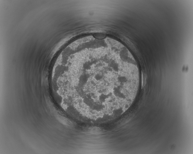 X0000110890483200907161529
