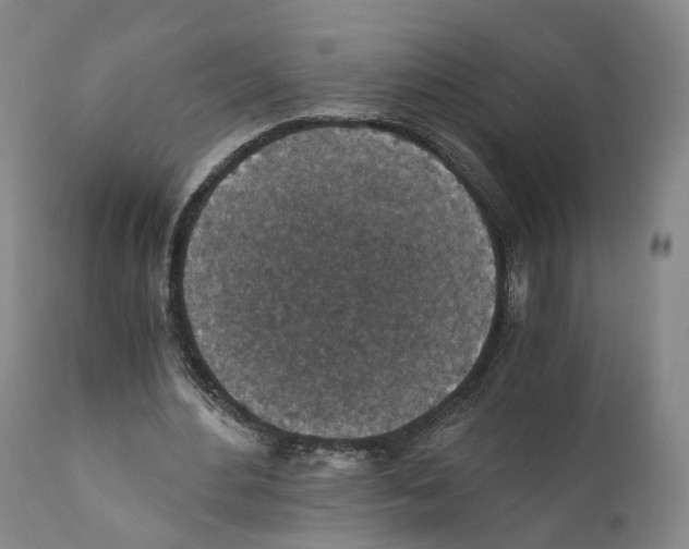 X0000110890484200907161529