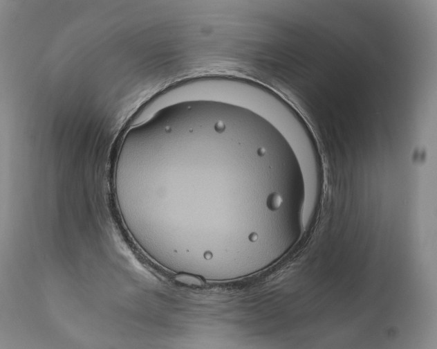 X0000110890485200907161529