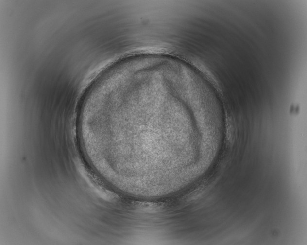 X0000110890486200907161529