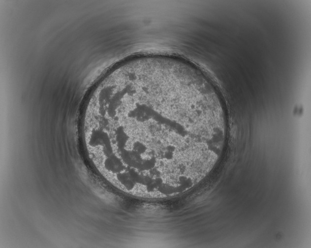 X0000110890487200907161529