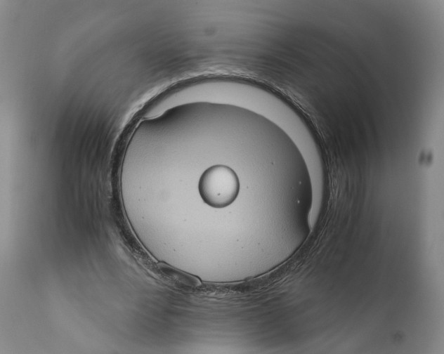 X0000110890488200907161529
