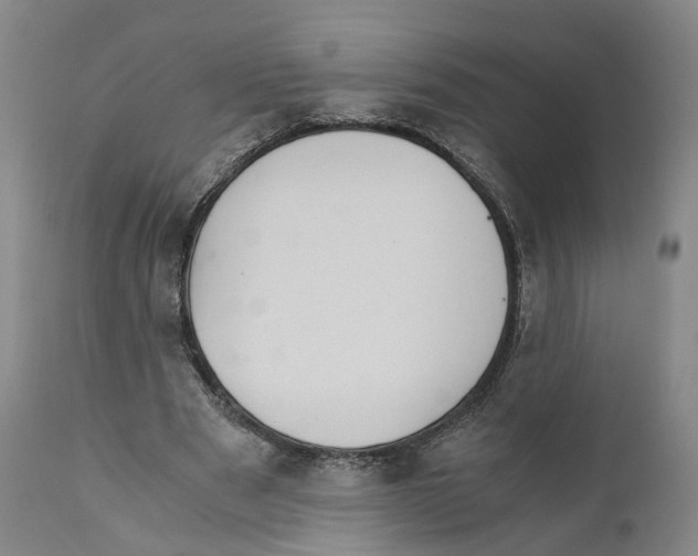 X0000110890489200907161529