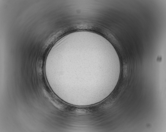 X0000110890490200907161529