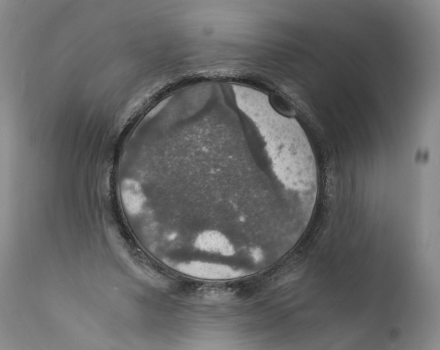 X0000110890491200907161529