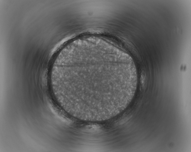 X0000110890492200907161529