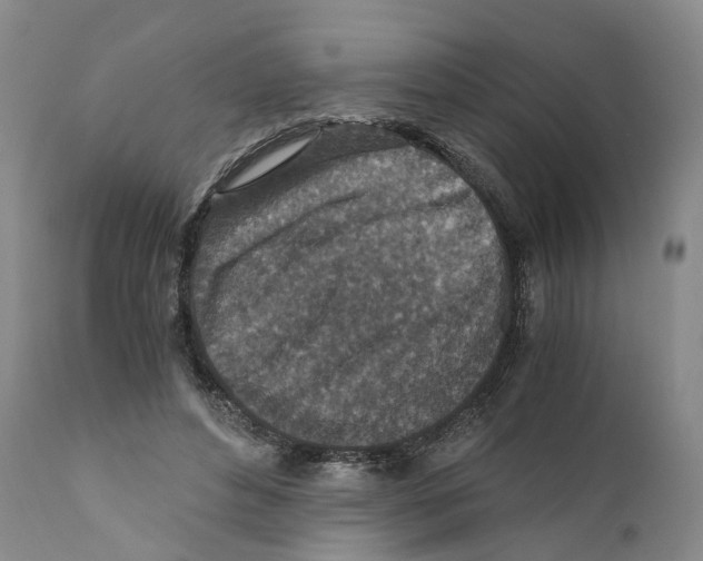 X0000110890496200907161529
