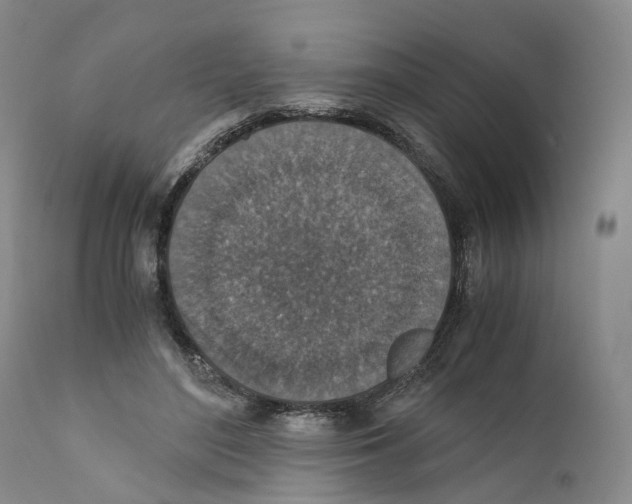 X0000110890500200907161529