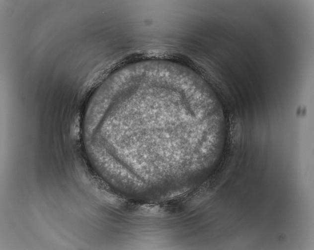 X0000110890502200907161529