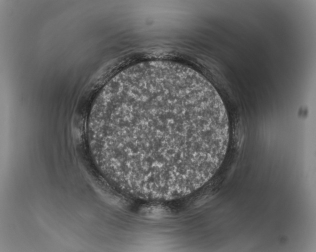 X0000110890503200907161529