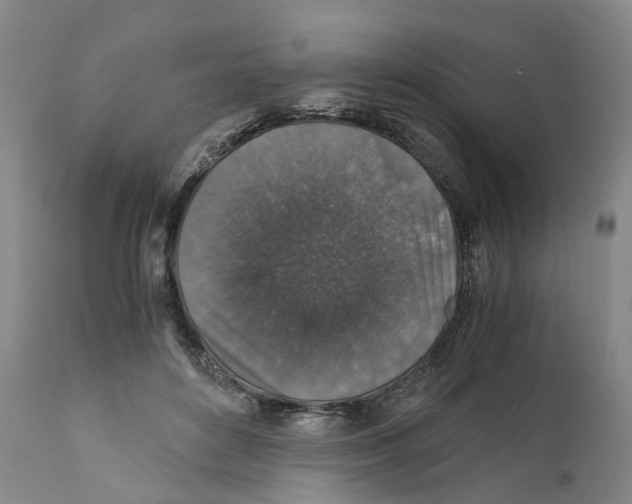 X0000110890504200907161529