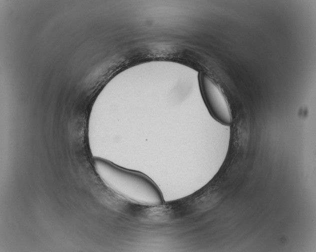 X0000110890505200907161529
