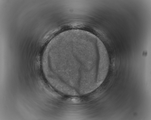 X0000110890506200907161529