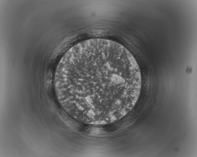 X0000110890507200907161529