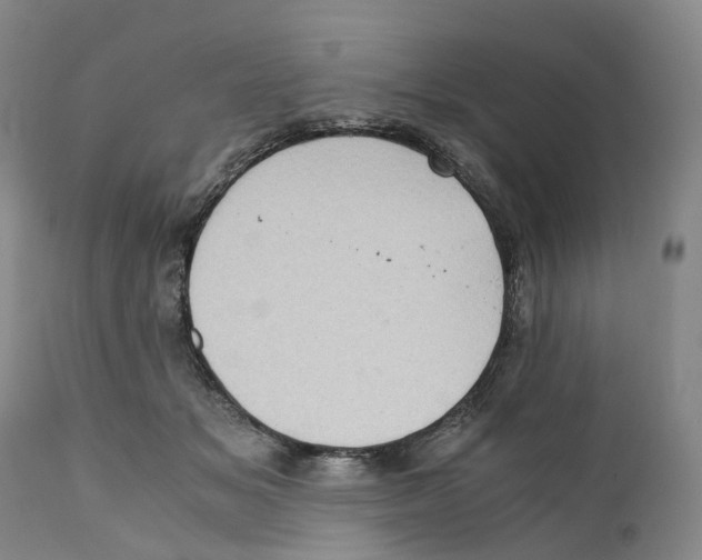 X0000110890509200907161529