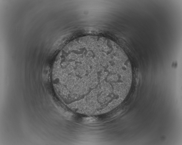 X0000110890511200907161529