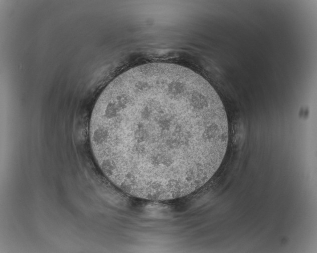 X0000110890515200907161529