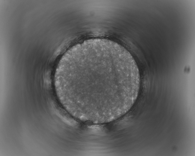 X0000110890516200907161529