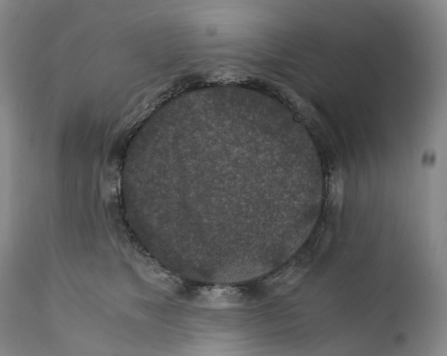 X0000110890517200907161529