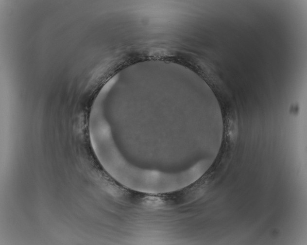 X0000110890519200907161529