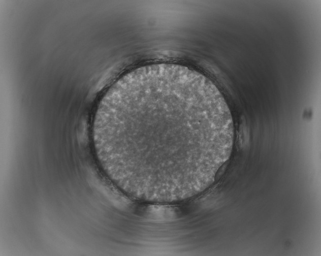 X0000110890520200907161529