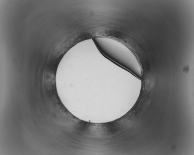 X0000110890521200907161529