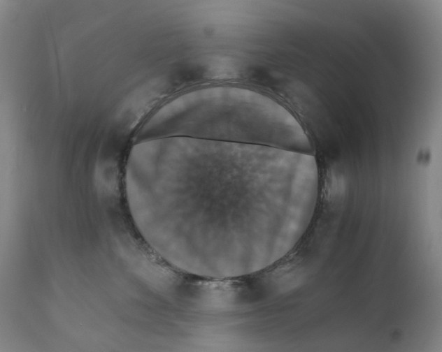 X0000110890524200907161529