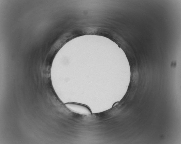 X0000110890525200907161529