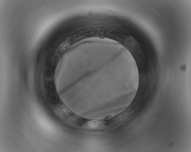 X0000110890526200907161529