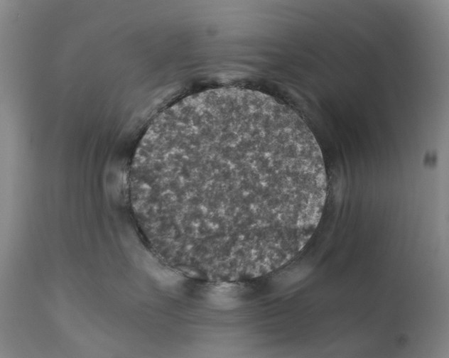 X0000110890527200907161529