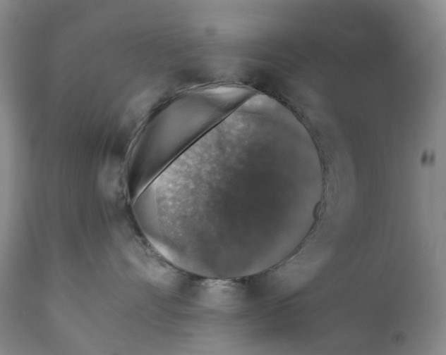 X0000110890528200907161528
